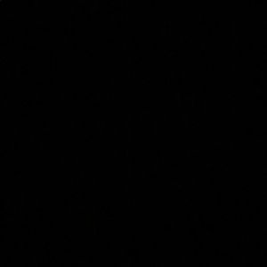 Meet your Posher, Vianca